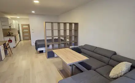 Pronájem bytu 1+kk 73 m²
