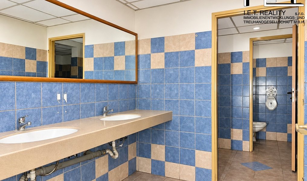 Prodej komerčního objektu (jiného typu) 3 138 m², Pozořice – náhled fotky 11
