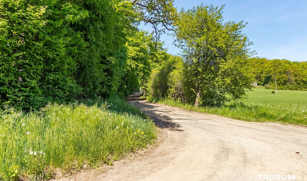 Prodej lesa 6 490 m², Petrov – náhled fotky 10