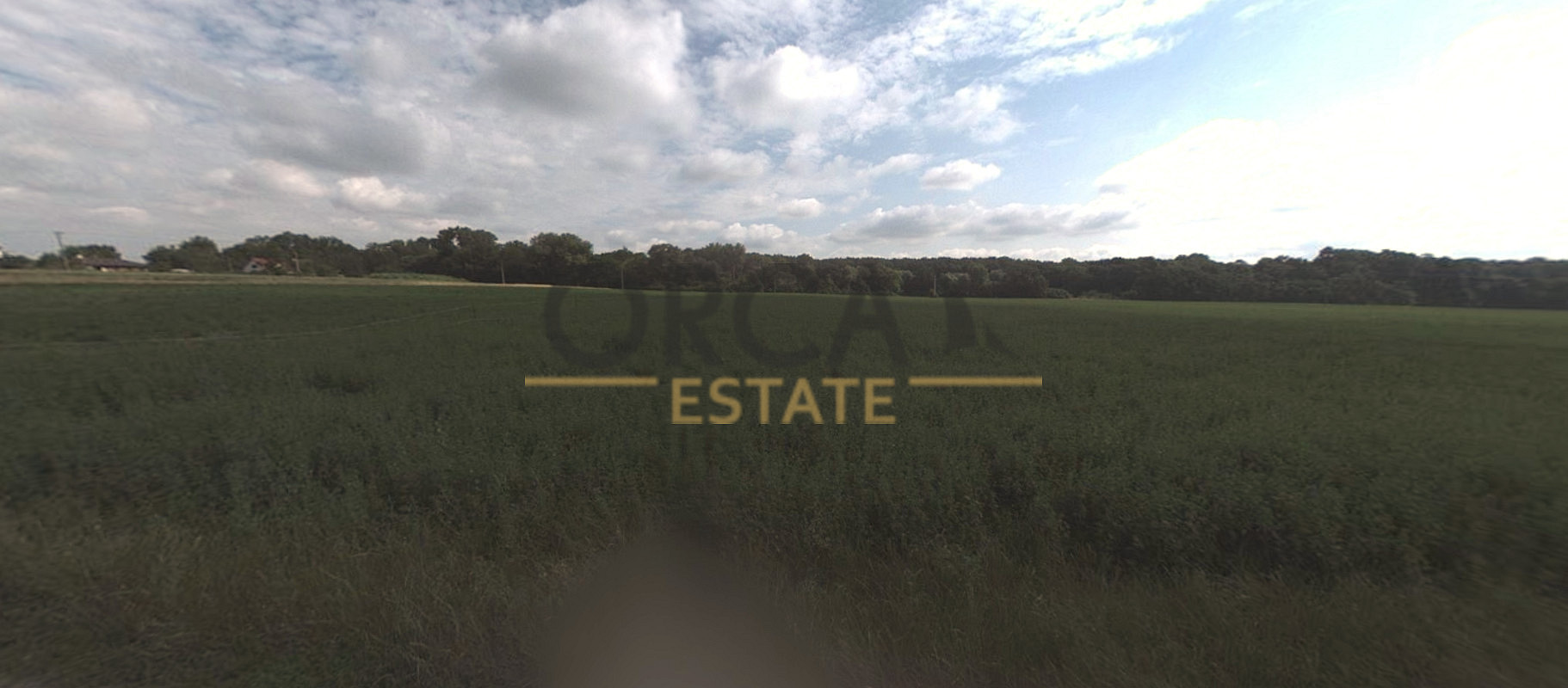 Prodej pole 3 590 m² – fotografie 5