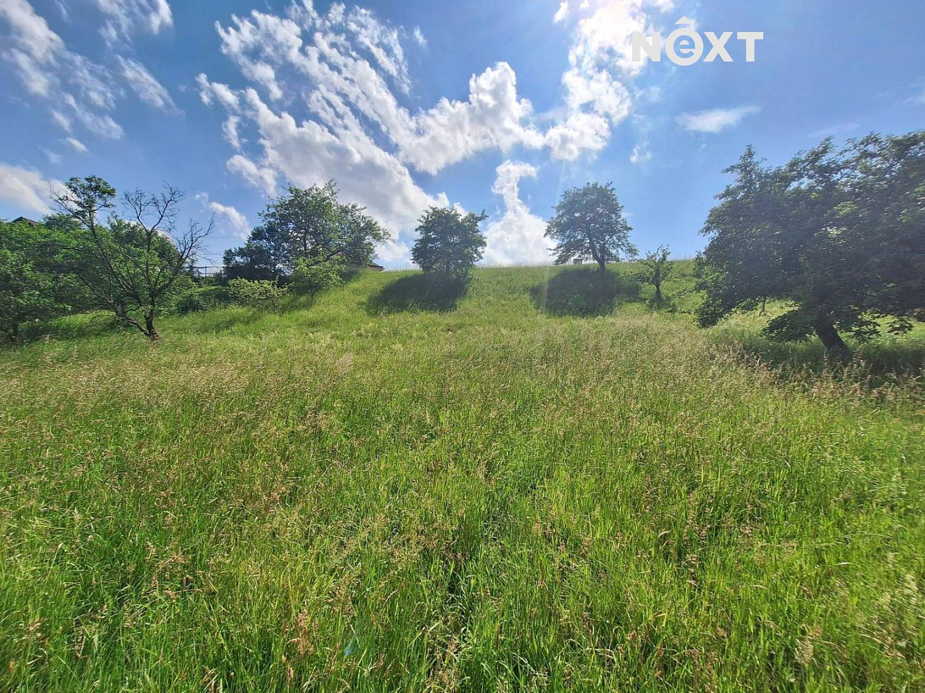 Fotka 11 z 15