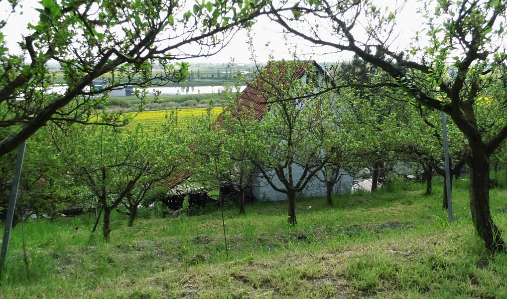 Prodej domu 43 m² s pozemkem 1 412 m², Trnovany – náhled fotky 7