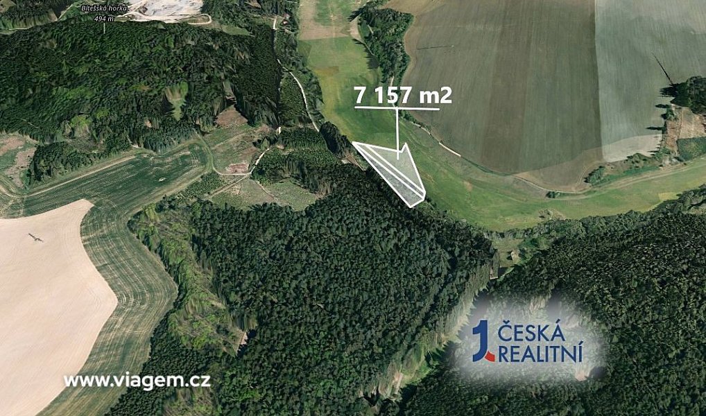 Prodej lesa 1 431 m², Velká Bíteš – náhled fotky 2