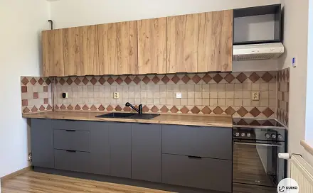 Pronájem bytu 1+1 44 m², H. Salichové, Frýdek-Místek - Frýdek