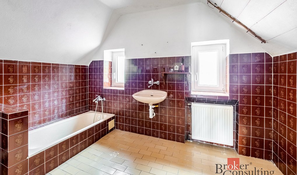 Prodej domu 236 m² s pozemkem 361 m², Březnice – náhled fotky 9