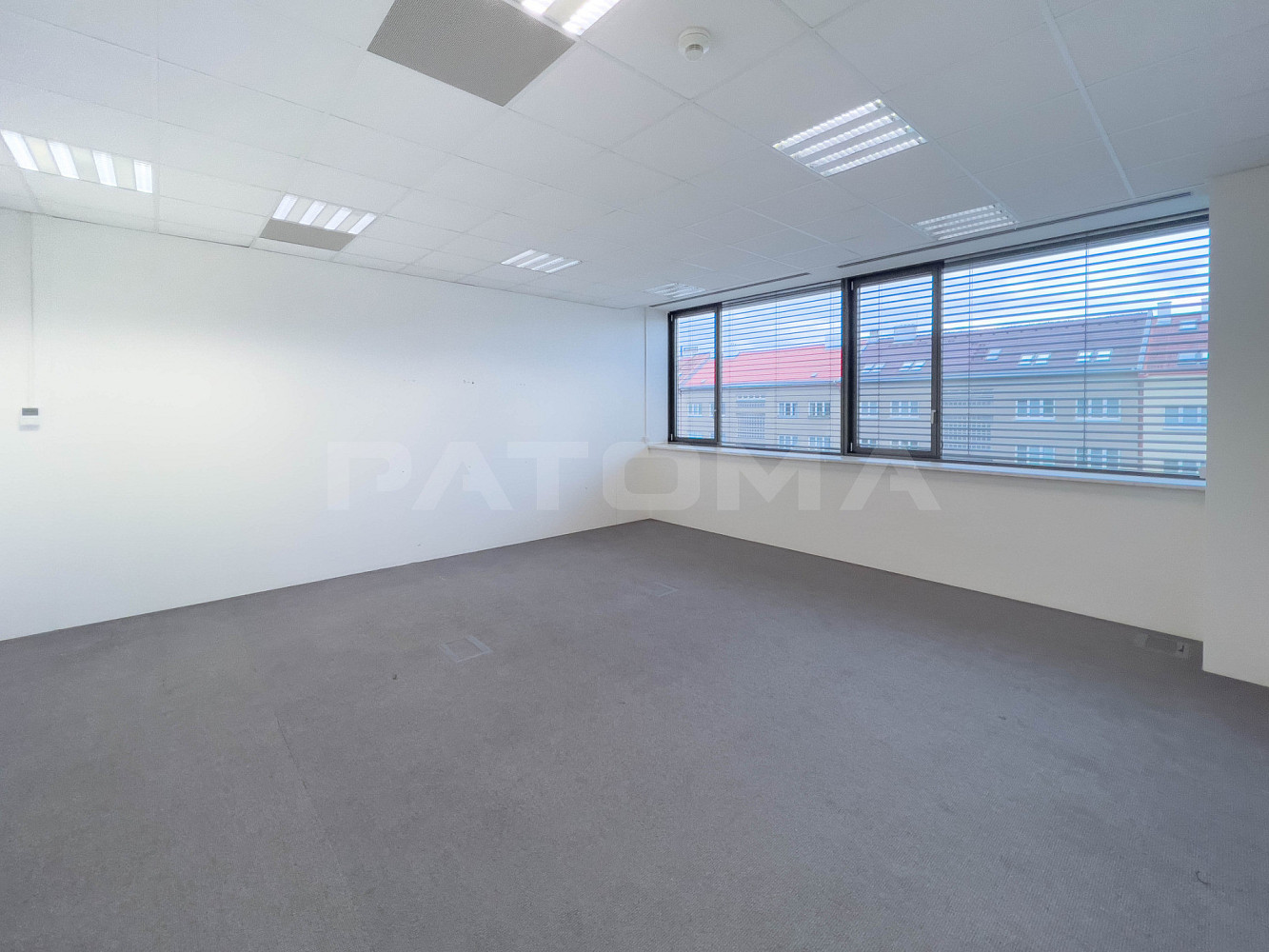 Pronájem kanceláře 242 m² – fotografie 4