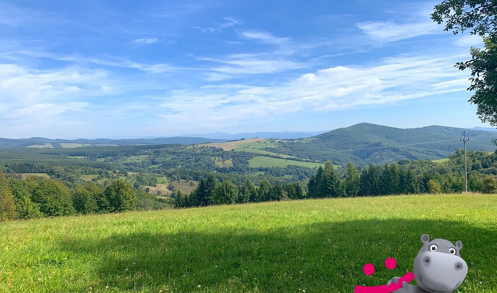 Prodej louky 5 517 m², Podkopná Lhota – náhled fotky 3