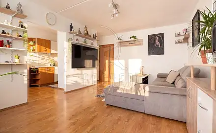 Prodej bytu 3+1 84 m²