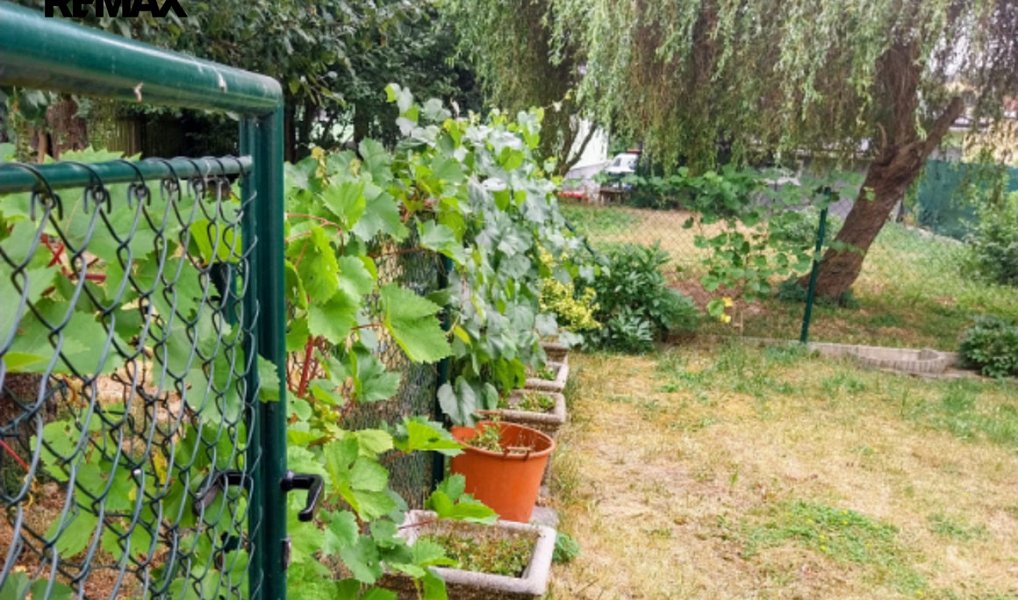 Prodej domu 280 m² s pozemkem 126 m², Nový Knín – náhled fotky 28