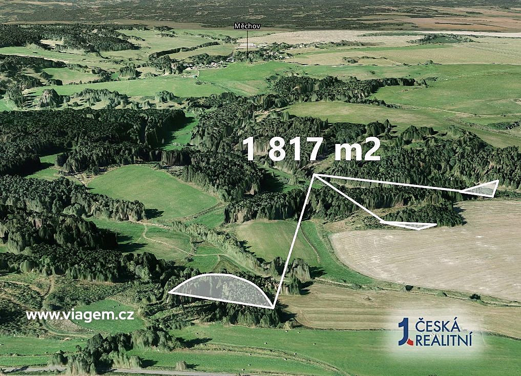 Prodej lesa 1 817 m² – fotografie 2