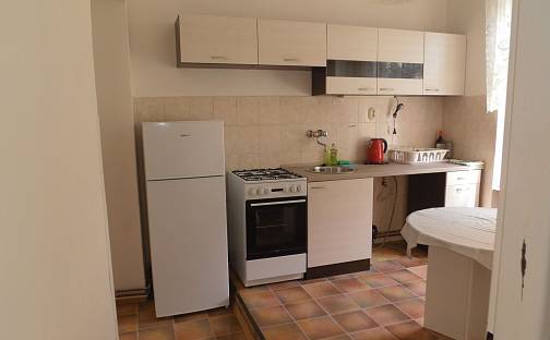 Pronájem bytu 1+1 38 m², Kolmá, Karlovy Vary