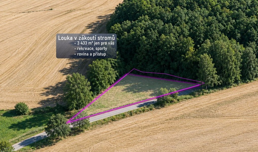 Prodej louky, 3433 m², Ústí nad Orlicí, Přívrat