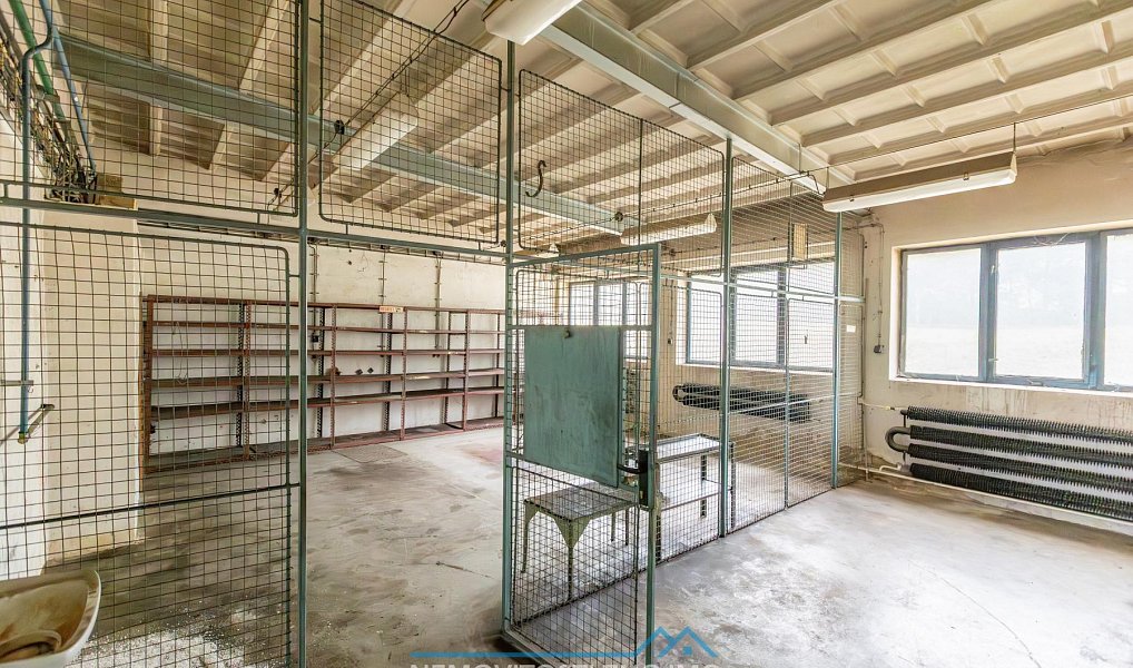 Prodej výrobních prostor 12 000 m², Hrušovany nad Jevišovkou – náhled fotky 20
