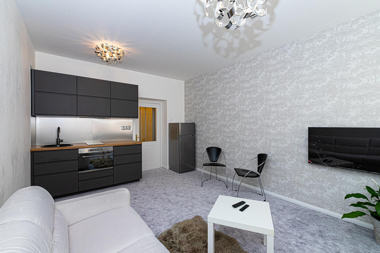 1+kk Apartment in Praha, obvod Praha 2, Praha