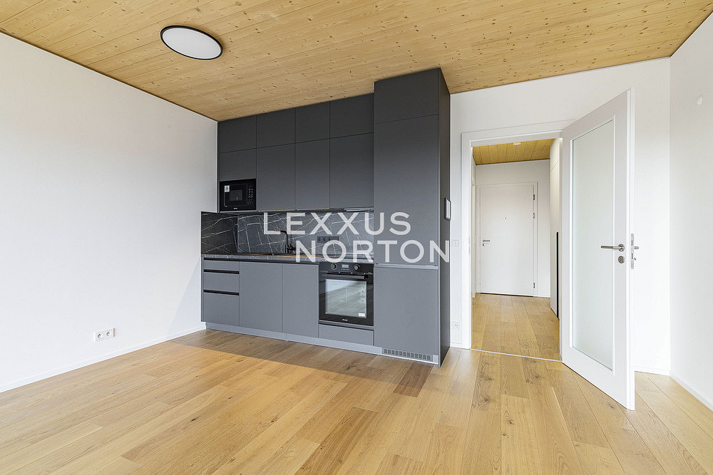 Pronájem bytu 1+kk 41 m², Praha