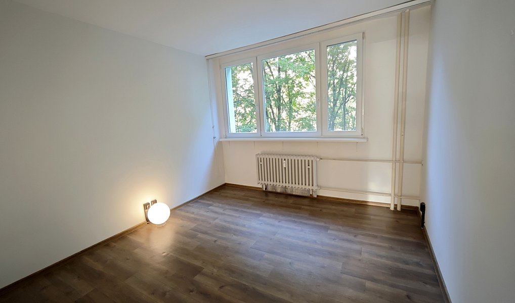 Prodej bytu 2+1 53 m², Brno – náhled fotky 8