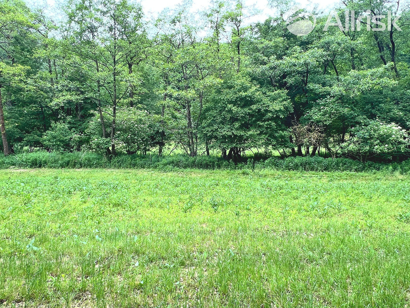 Fotka 21 z 24