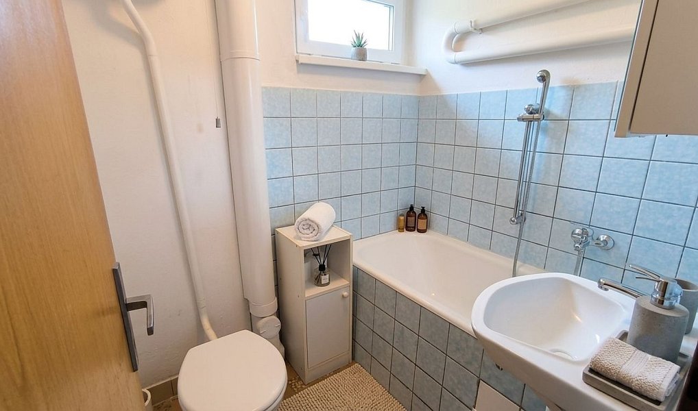 Prodej domu 220 m² s pozemkem 782 m², Homole – náhled fotky 16