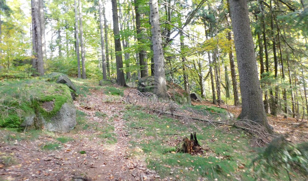 Prodej louky 1 588 m², Lučany nad Nisou – náhled fotky 3