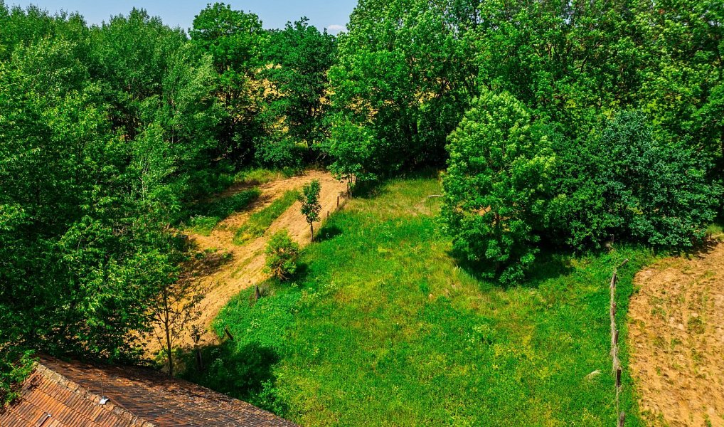 Prodej chaty/chalupy 850 m² s pozemkem 7 749 m², Hostouň – náhled fotky 8