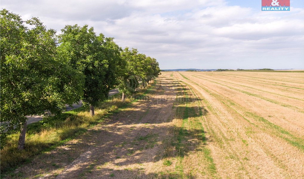 Prodej stavebního pozemku 1 964 m², Brumovice – náhled fotky 10