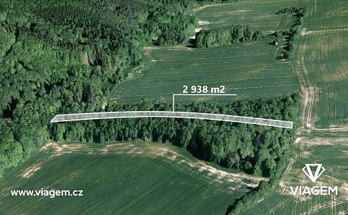 Prodej lesa 2 938 m², Šarovy, okres Zlín