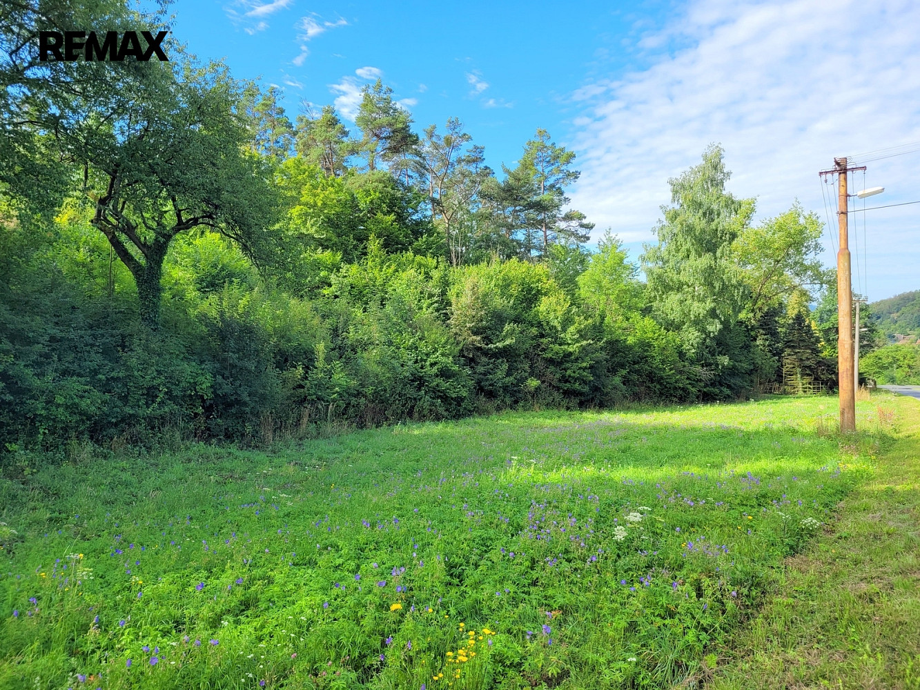 Prodej louky 3 885 m²