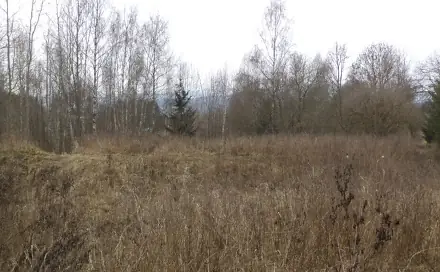 Prodej pozemku 1 390 m², Horní Planá, okres Český Krumlov