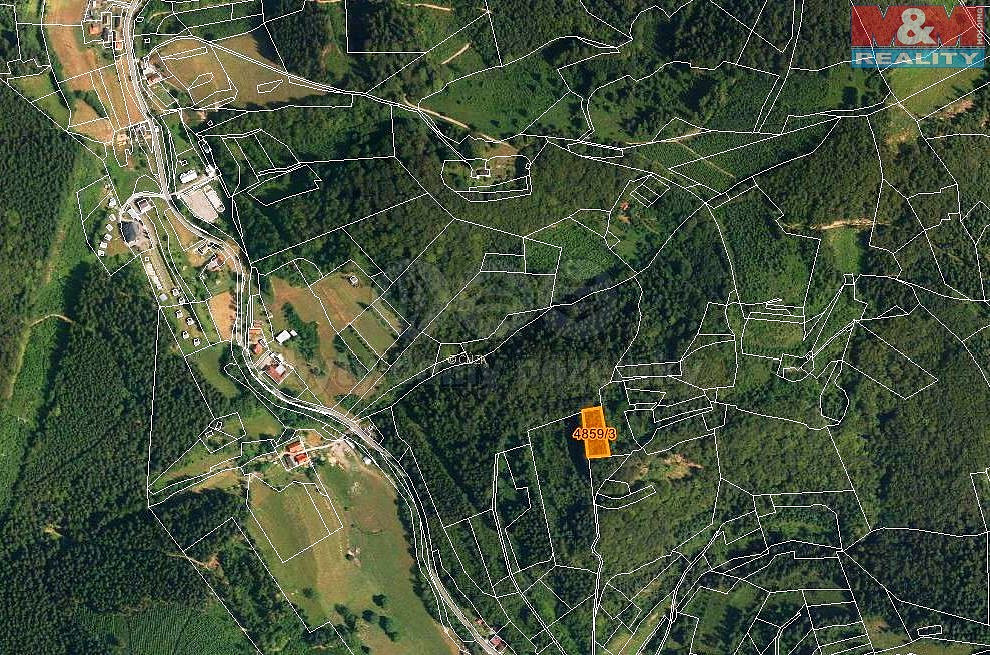 Prodej lesa 5 001 m² – pohled 3