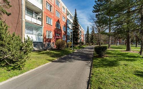 Pronájem bytu 3+1 75 m², M. Švabinského, Bílina - Teplické Předměstí, okres Teplice