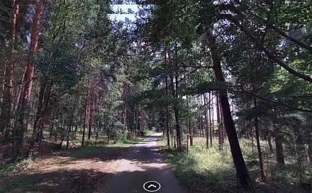 Dražba lesa 1 726 m², Chrášťany