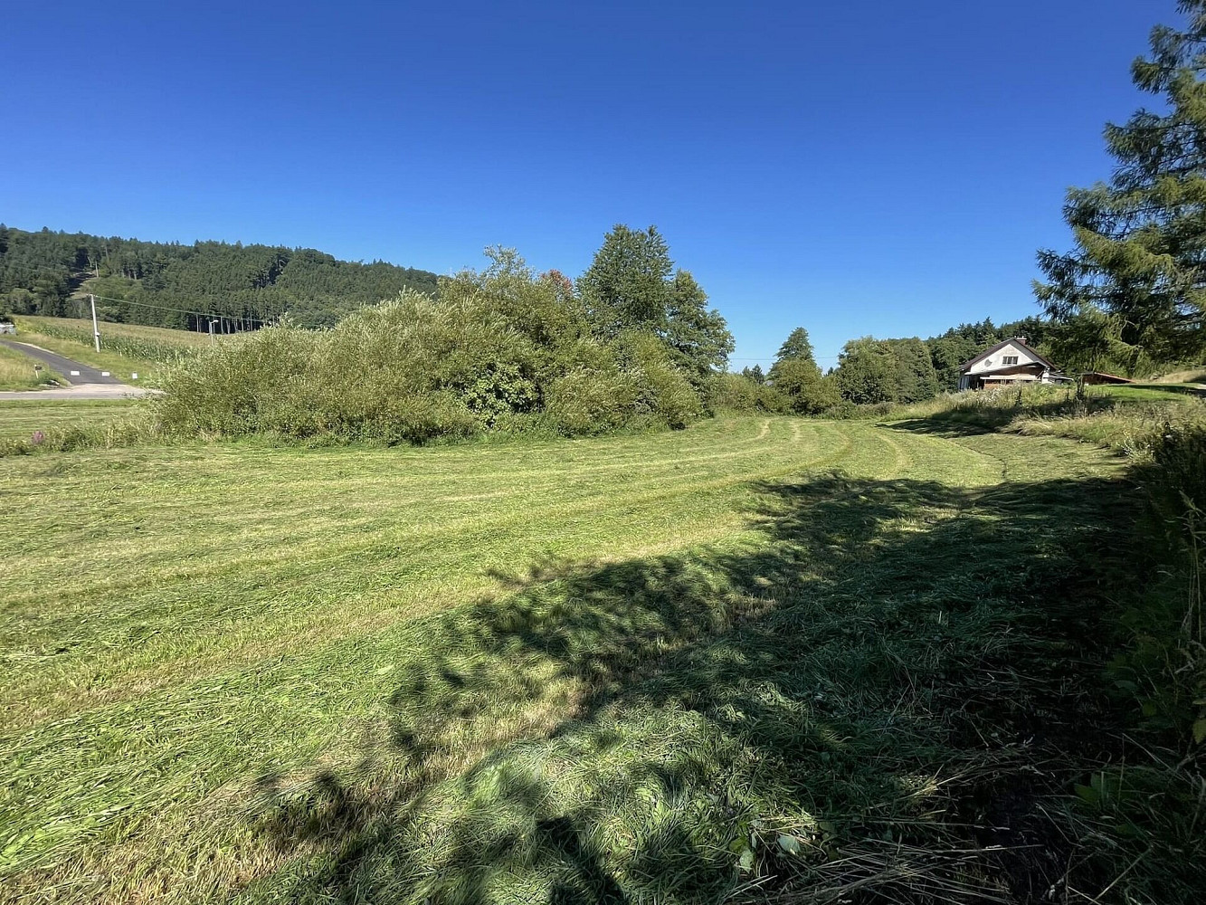 Prodej pozemku 6 634 m² – fotografie 3