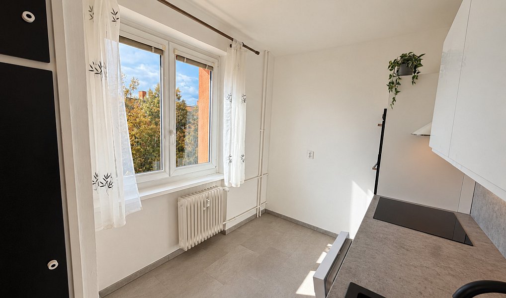 Pronájem bytu 3+1 61 m², Teplice – náhled fotky 4