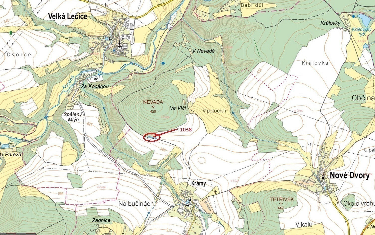 Dražba lesa 953 m²