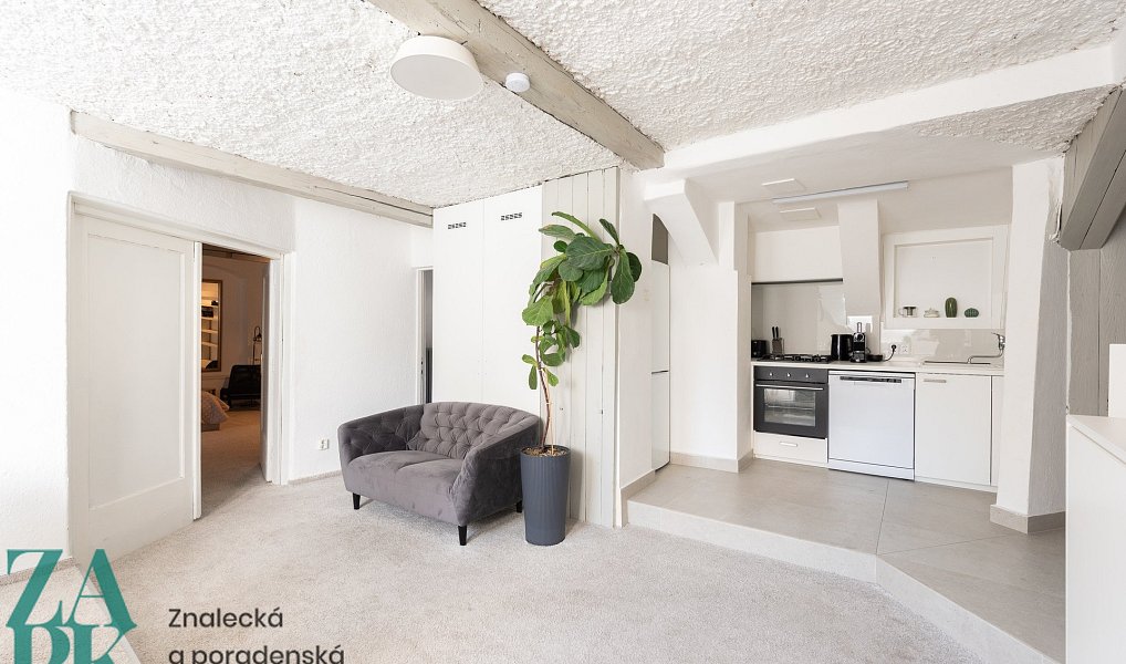 Prodej bytu atypického 169 m², Praha – náhled fotky 4
