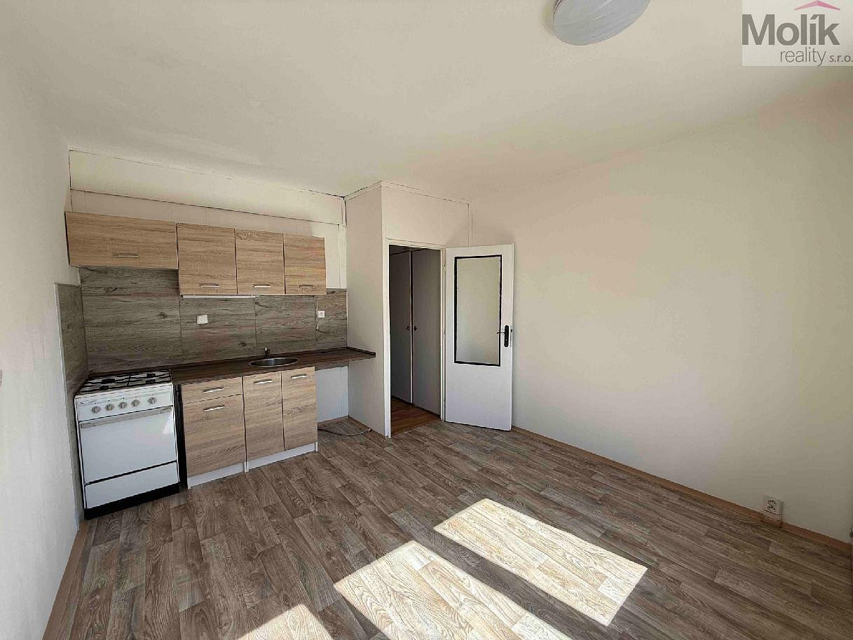 Pronájem bytu 1+1 35 m² – fotografie 3