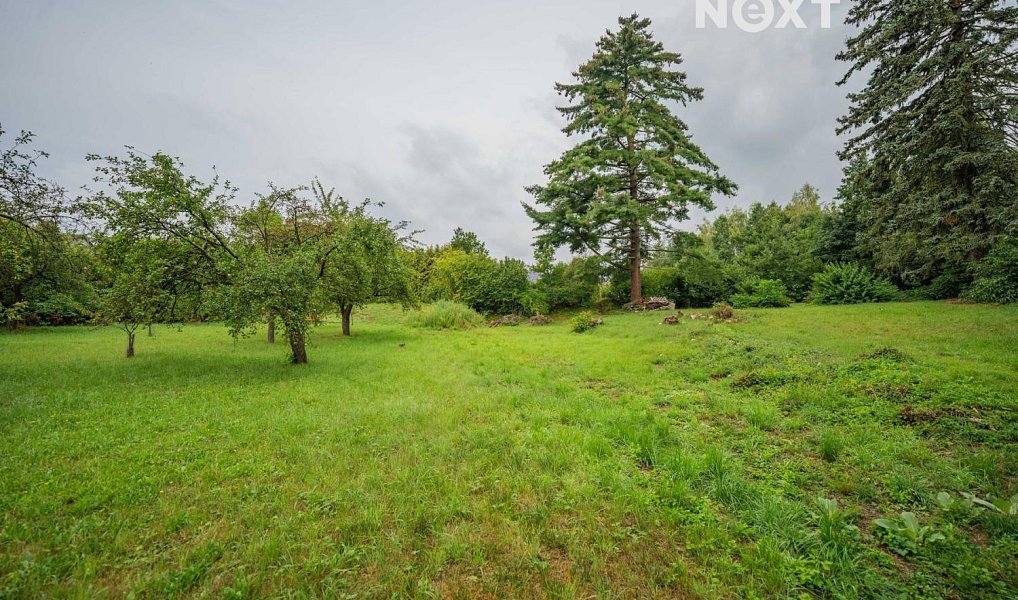Prodej stavebního pozemku 3 456 m², Loštice – náhled fotky 16