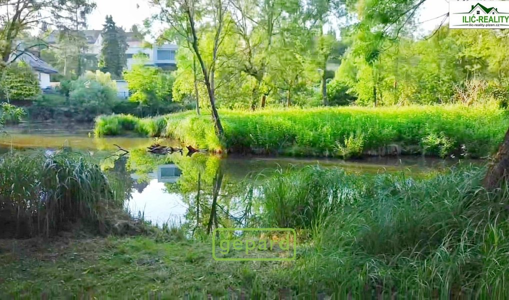 Prodej chaty/chalupy 15 m² s pozemkem 1 212 m², Plzeň – náhled fotky 10