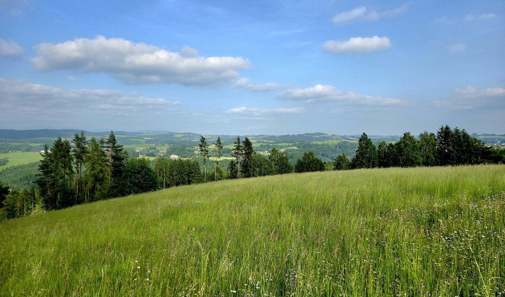 Prodej louky 10 451 m², Vlastiboř – náhled fotky 8