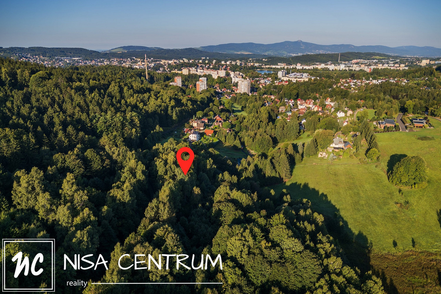 Prodej lesa 5 031 m² – další