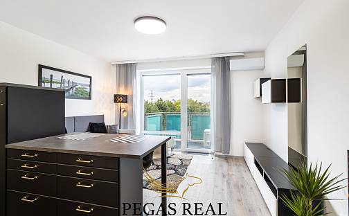 Pronájem bytu 1+kk 33 m², Řehořova, Brno - Černovice