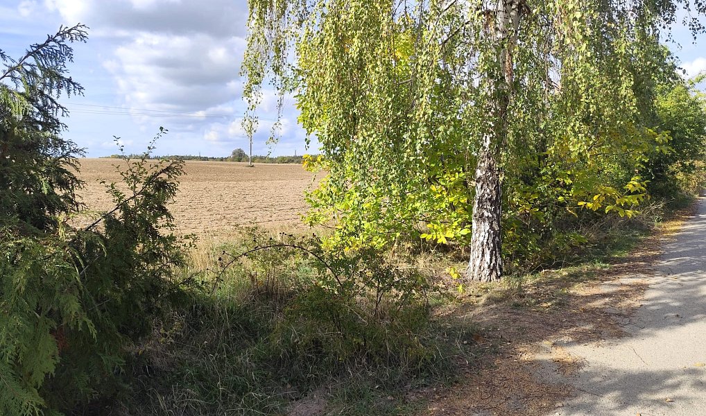 Prodej stavebního pozemku 917 m², Ketkovice – náhled fotky 4