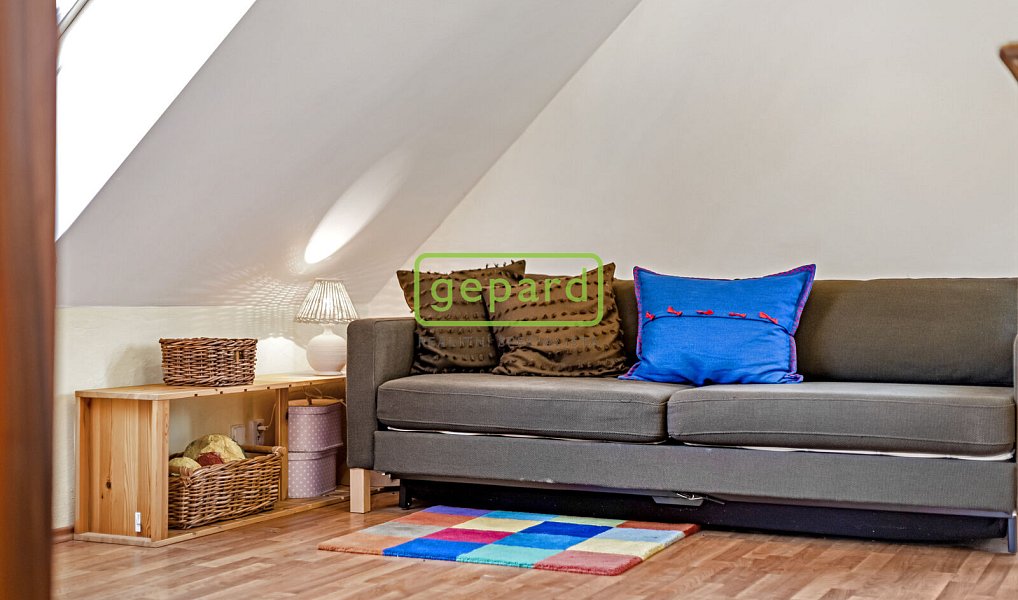 Prodej domu 353 m² s pozemkem 496 m², Přelouč – náhled fotky 46
