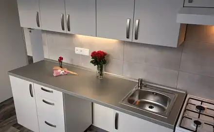 Pronájem bytu 2+1 54 m²