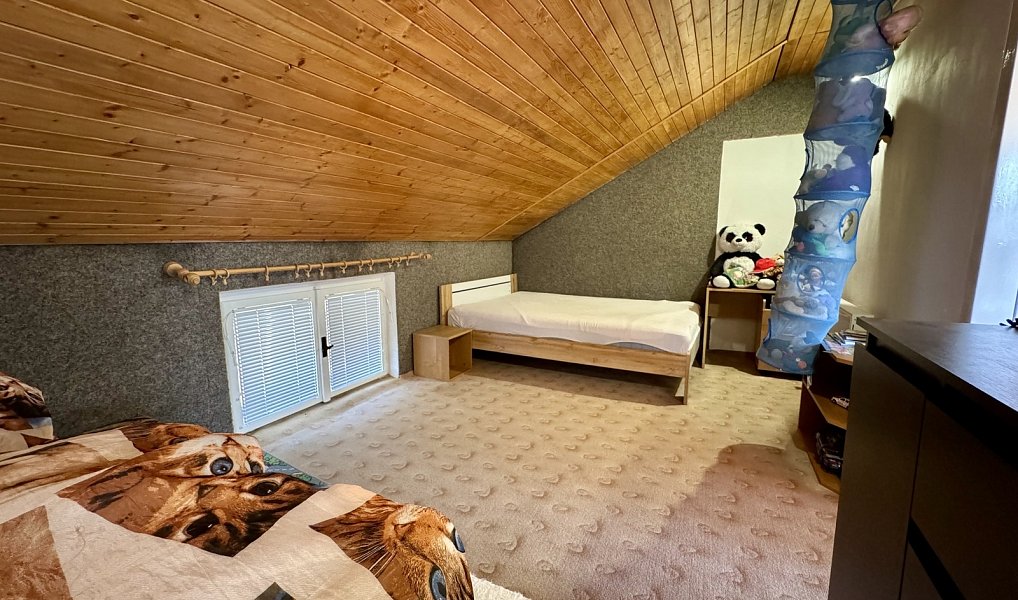 Prodej domu 206 m² s pozemkem 692 m², Budišov nad Budišovkou – náhled fotky 18