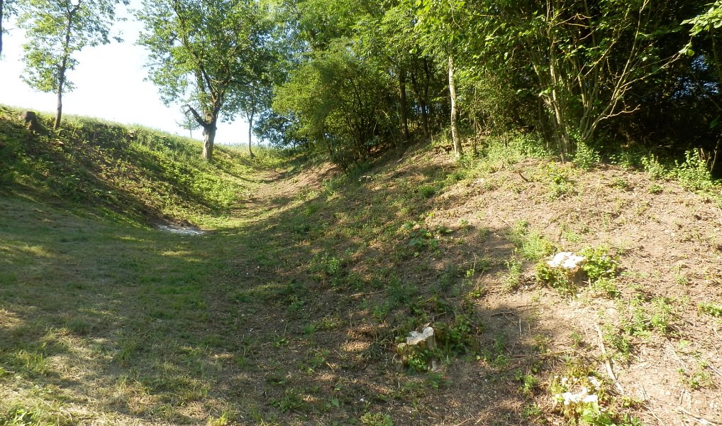 Prodej stavebního pozemku 911 m², Letovice – náhled fotky 7