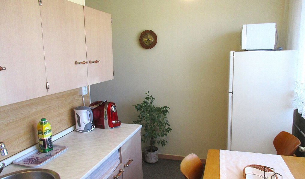 Pronájem bytu 2+1 55 m², Veselí nad Moravou – náhled fotky 2