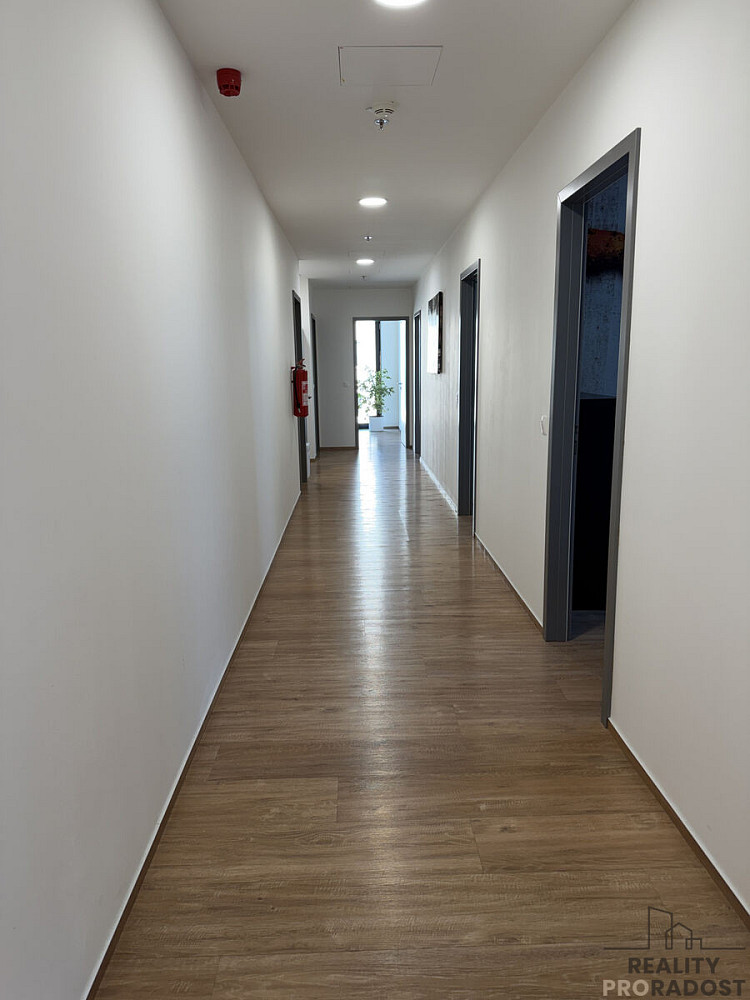 Pronájem kanceláře 30 m² – fotografie 5