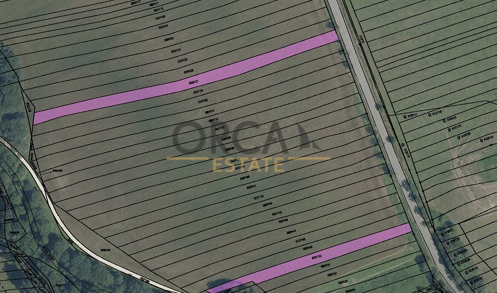 Prodej pole 2 973 m², Bojkovice – náhled fotky 5