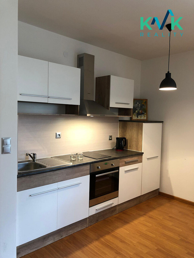 Pronájem bytu 1+kk 47 m² – fotografie 3